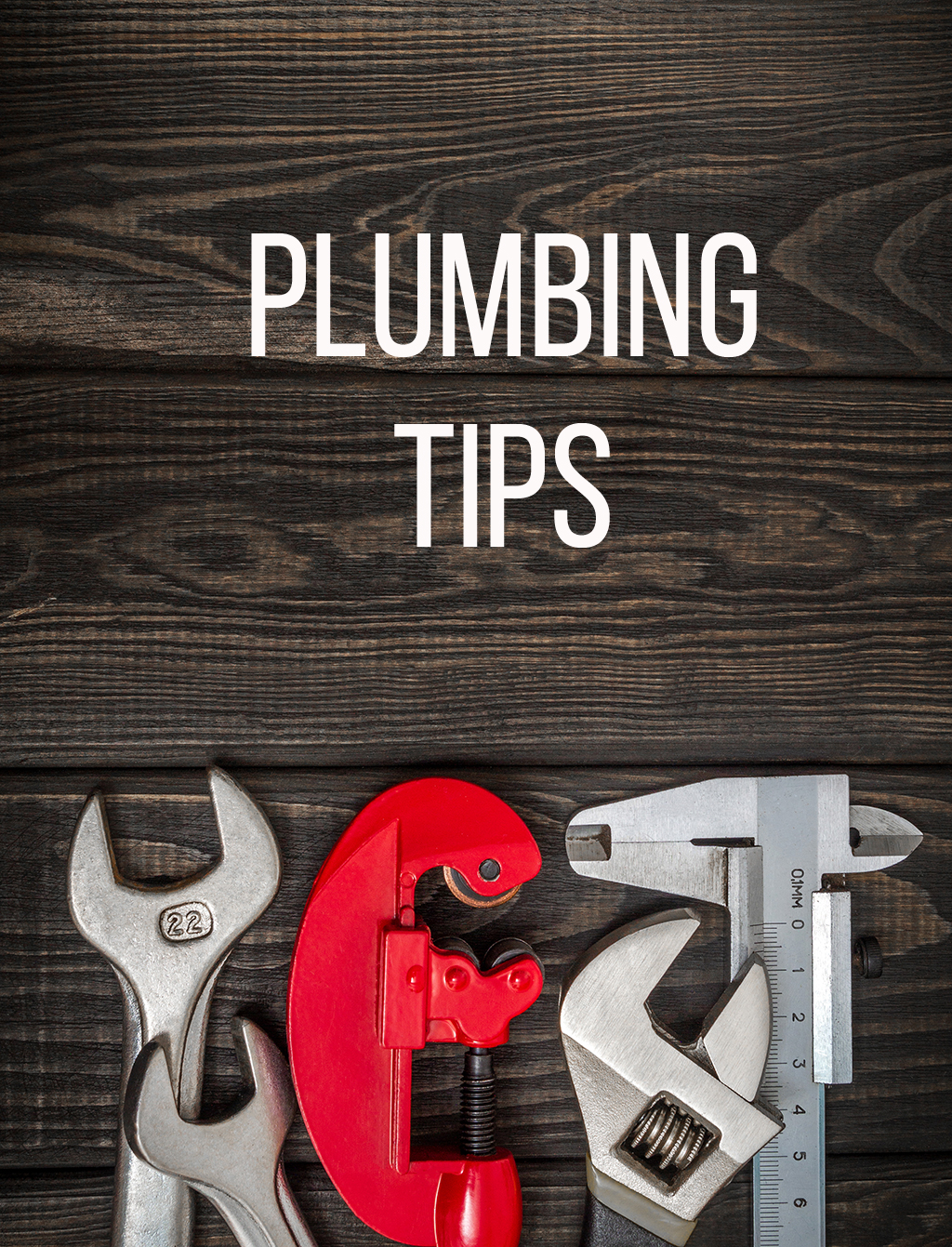 Tips from Your Trusted Minneapolis, MN Plumber for Taking Care of Your