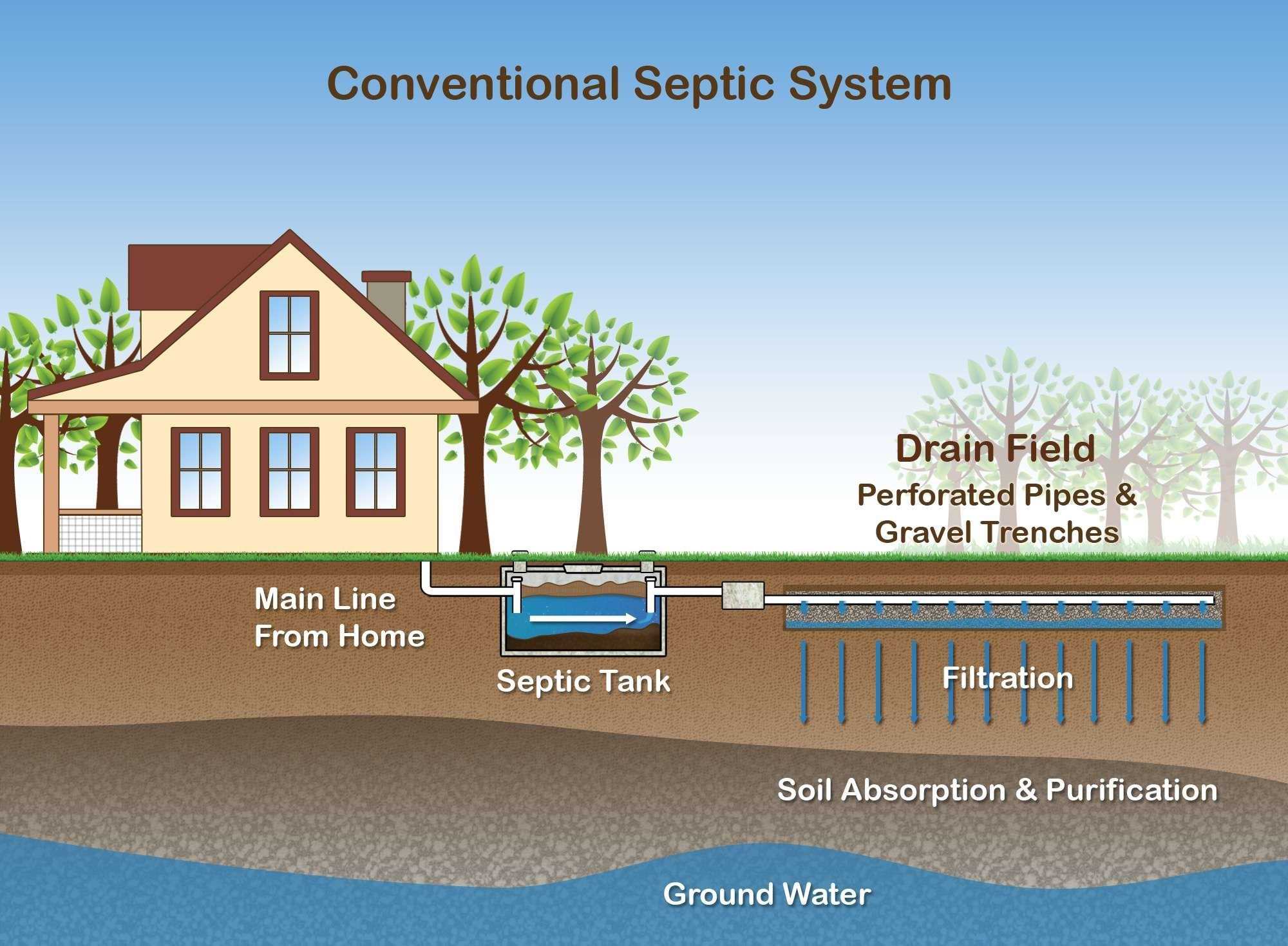 Understanding Your Septic System How It Works Sunset Septic Service - Reverasite
